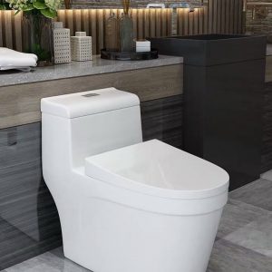 Bệ Xí SURCERA SC1003